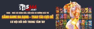 Banner S666 1