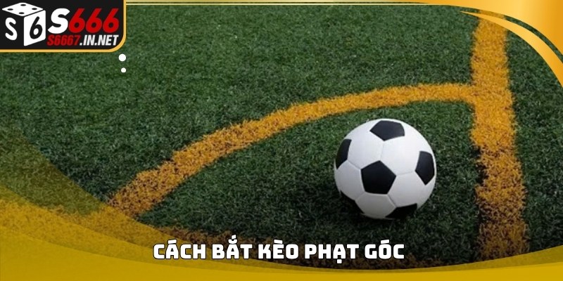 Anh dai dien