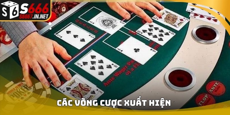Các vòng cược xuất hiện trong Hướng dẫn chơi poker Các vòng cược xuất hiện trong Hướng dẫn chơi poker