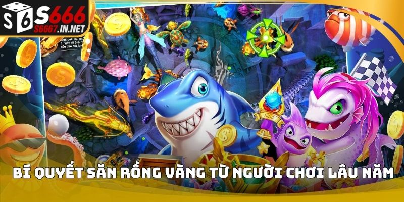 Bí quyết săn rồng vàng từ người chơi lâu năm Bí quyết săn rồng vàng từ người chơi lâu năm