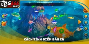 Cach tinh diem ban ca avata