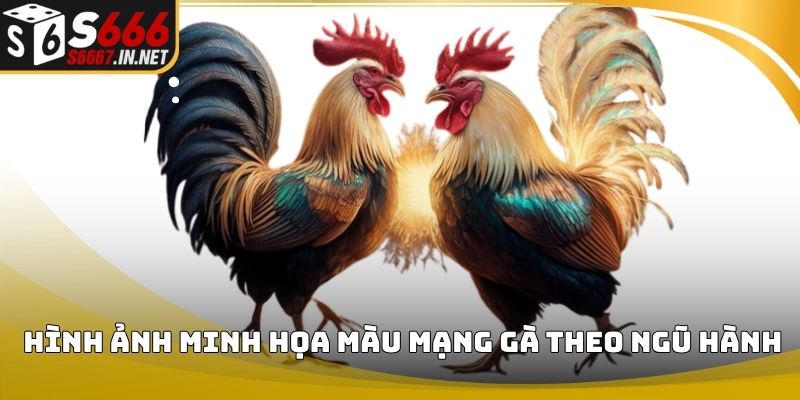 Hình ảnh minh họa màu mạng gà theo ngũ hành Hình ảnh minh họa màu mạng gà theo ngũ hành
