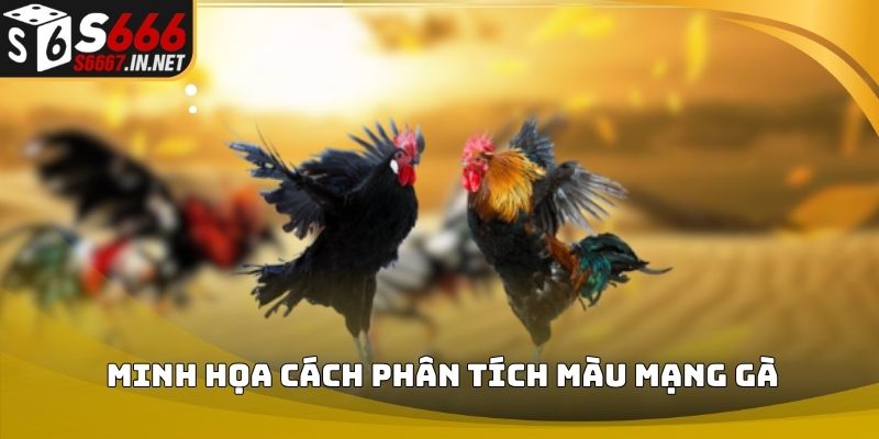 Minh họa cách phân tích màu mạng gà Minh họa cách phân tích màu mạng gà