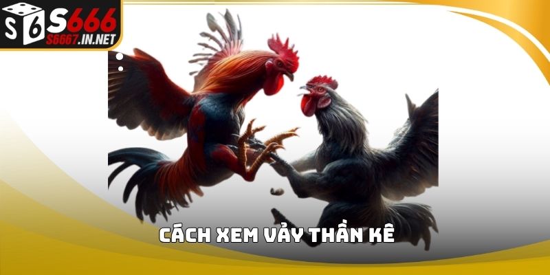 Bí quyết nhận biết vảy thần kê từ cao thủ Bí quyết nhận biết vảy thần kê từ cao thủ
