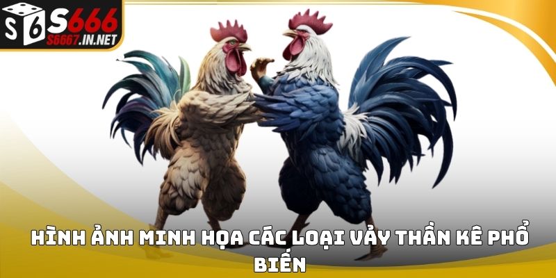Hình ảnh minh họa các loại vảy thần kê phổ biến Hình ảnh minh họa các loại vảy thần kê phổ biến