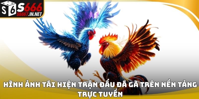 Da ga s666 hinh anh