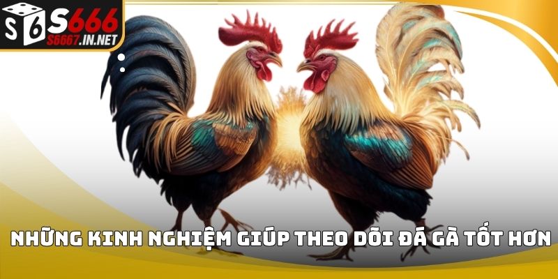 Da ga s666 kinh nghiem