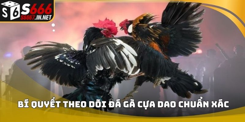Luat da ga bi quyet