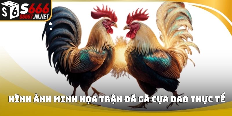 Luat da ga quy tac