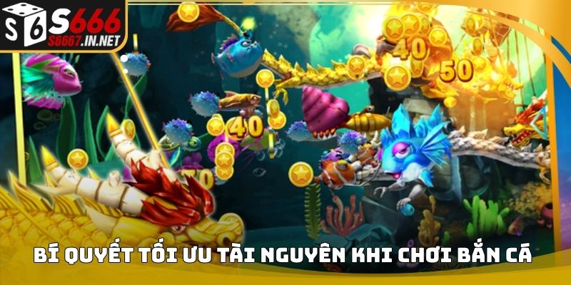 Meo ban ca an xu bi quyet