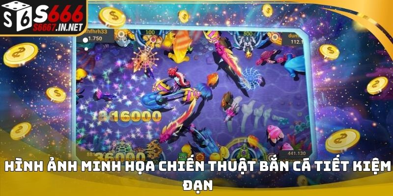 Meo ban ca an xu hinh anh