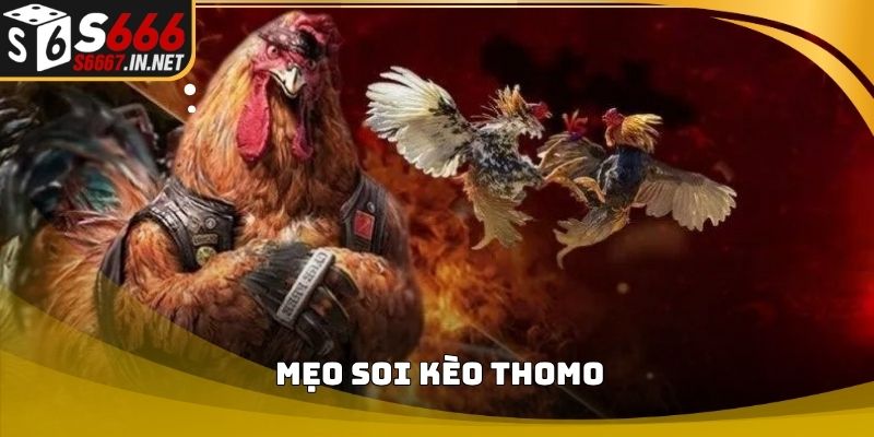 Meo soi keo thomo avata
