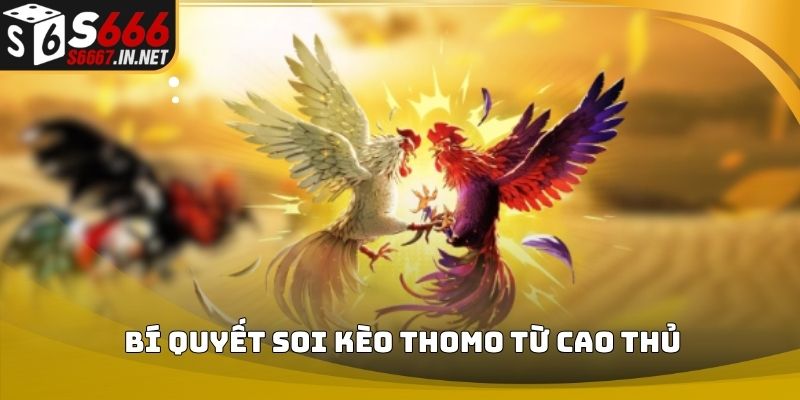 Meo soi keo thomo bi quyet