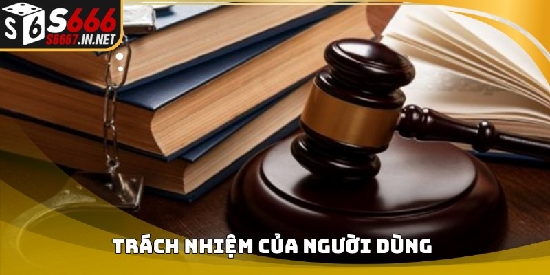 Trách nhiệm người dùng theo nội dung Miễn trừ trách nhiệm