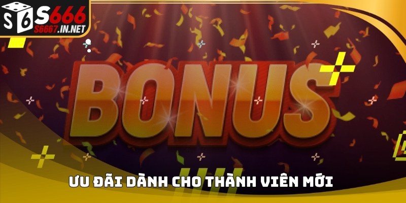 Bảng thống kê chương trình ưu đãi dành cho thành viên mới Bảng thống kê chương trình ưu đãi dành cho thành viên mới